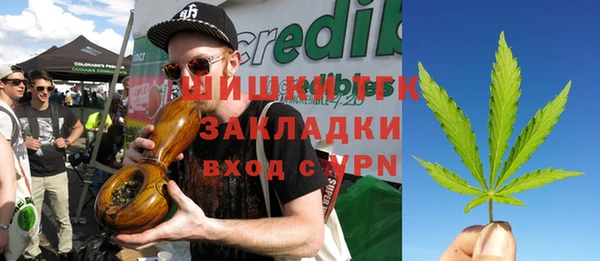индика Алексеевка