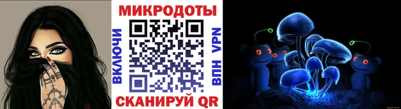 Галлюциногенные грибы Psilocybe  Россошь 